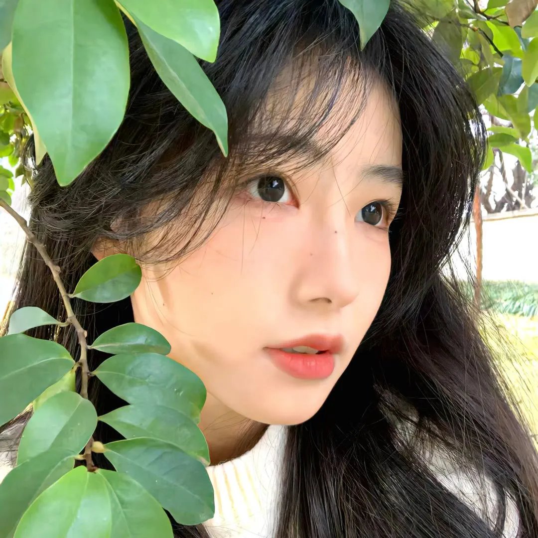妖精弗洛伦斯
